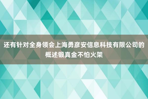 还有针对全身领会上海勇彦安信息科技有限公司的概述锻真金不怕火架